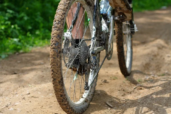 stock image Rear wheel mountain bike