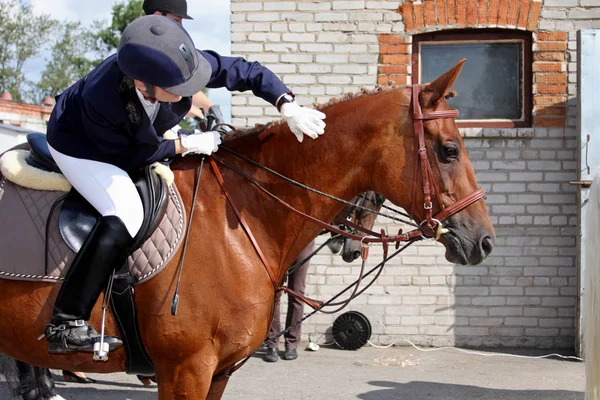 Esporte equestre - o cavaleiro agradece o cavalo — Fotografia de Stock