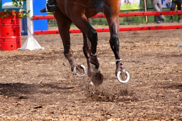 Las competiciones sobre los concursos - el caballo salta en el campo — Foto de Stock
