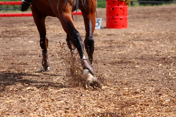 Competições em concursos - o cavalo pula em um campo Fotografias De Stock Royalty-Free