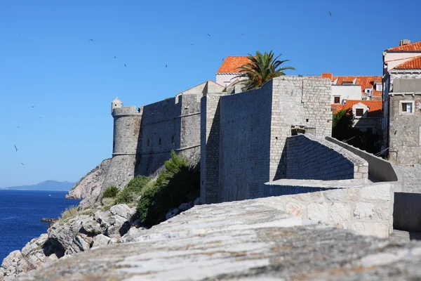 Antiguo muro de la fortaleza de Dubrovnik — Foto de Stock