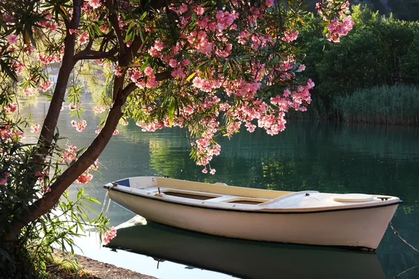 Лодка на реке Стоковое Фото