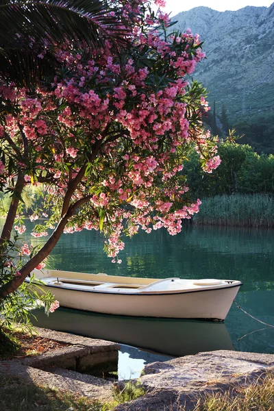 Boot auf dem Fluss — Stockfoto