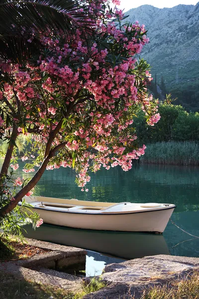 Лодка на реке Лицензионные Стоковые Изображения