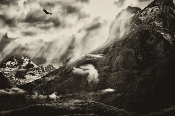 stock image Patagonian landscapes