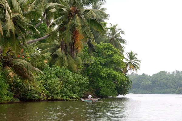 Рыбак на реке, окруженный джунглями — стоковое фото