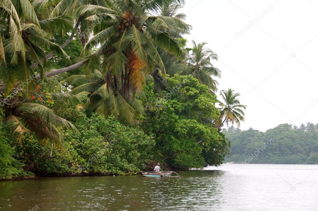 Fisherman on river surrounded with jungle
