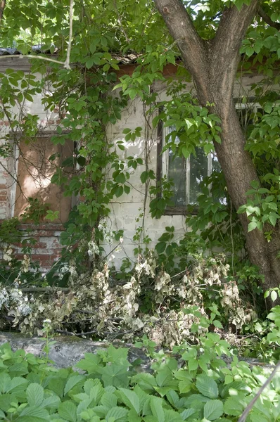 Elhagyott ház — Stock Fotó