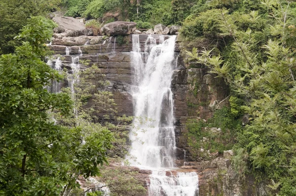 在热带森林中的瀑布 — 图库照片
