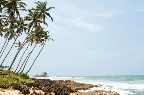 Paraíso tropical no Sri Lanka — Fotografia de Stock