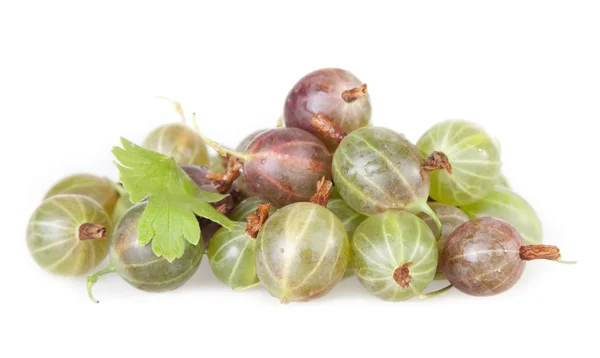 绿色成熟鹅莓 — 图库照片