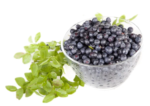 Blueberries in a glass bowl — Stock Photo, Image