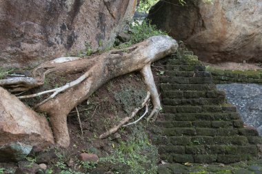 Antik adımları, sri lanka Seylan, sigiriya Harabeleri