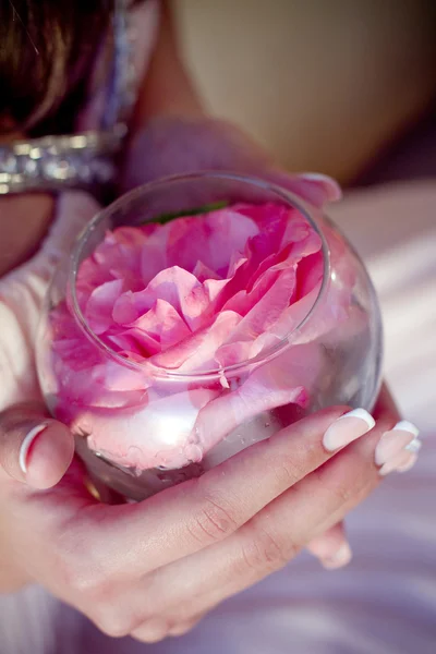 Bonito botão de rosa nas mãos — Fotografia de Stock