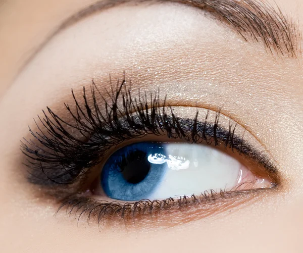Close-up of beautiful womanish eye Stock Picture