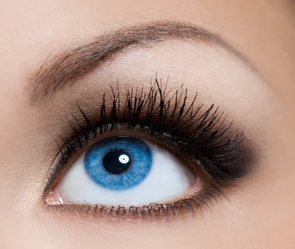 Close-up of beautiful womanish eye Royalty Free Stock Images