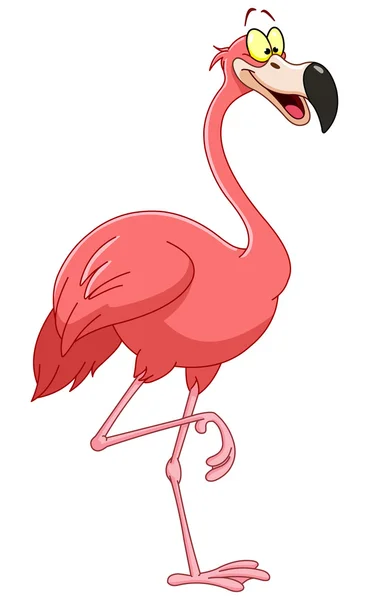 Flamingo — Stockový vektor