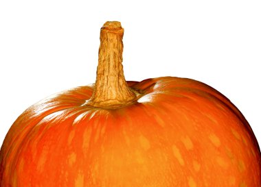 Orange pumpkin isolated clipart