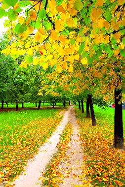 Beautiful alley in autumn park clipart