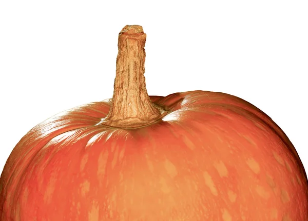 Оранжевая тыква — стоковое фото