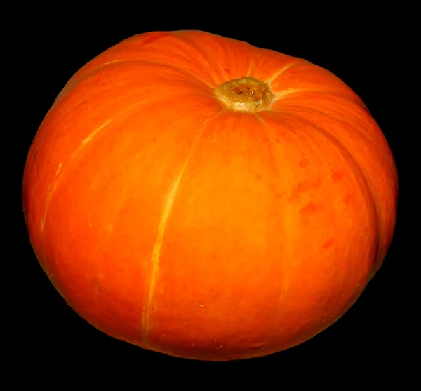Orange pumpkin isolated — Stock Photo, Image