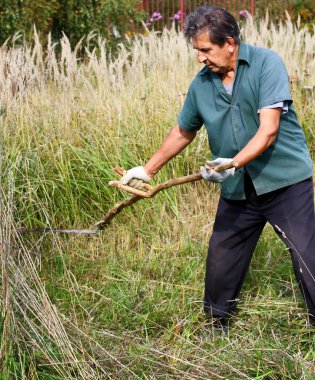 Elderly man mowing dry grass clipart