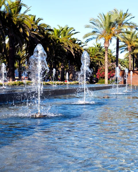 stock image Palms and fountain