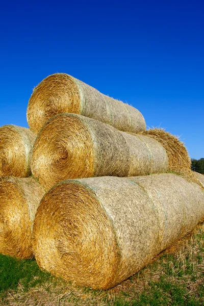 stock image Haystack on the meadow