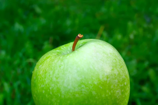 Čerstvé světlé zelené jablko — Stock fotografie