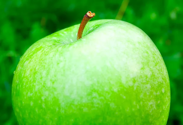 Manzana verde brillante fresca — Foto de Stock