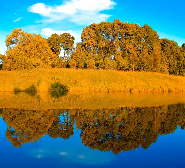 Bosque otoñal con reflexión simétrica en el lago — Foto de Stock