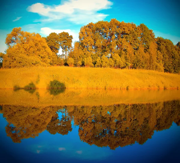 Autumn forest with symmetric reflection in lake — Stock Photo, Image