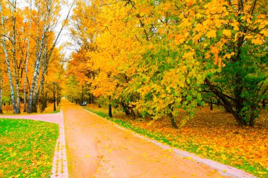 sonbahar Park altın meyve bahçesi