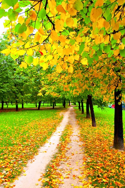 Piękna aleja w parku jesień — Zdjęcie stockowe