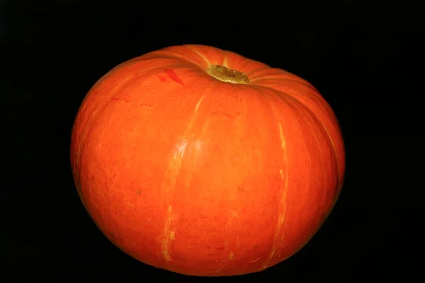 孤立的橙色南瓜 — 图库照片