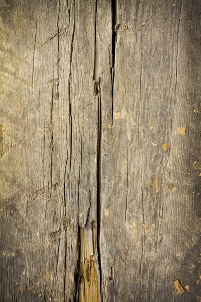 Zbliżenie tekstury drewna — Zdjęcie stockowe