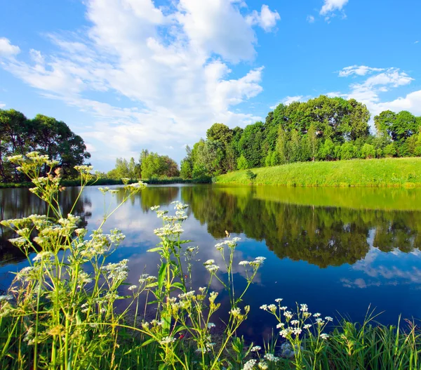 如诗如画的美丽的农村湖现场 — 图库照片