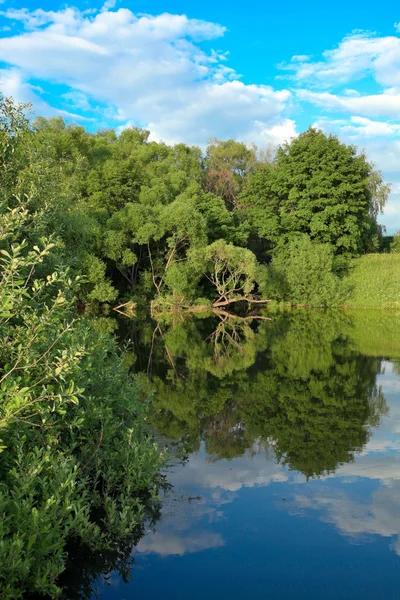 Malebné scény krásné venkovské jezero — Stock fotografie