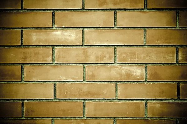 Grunge textura de pared de ladrillo — Foto de Stock