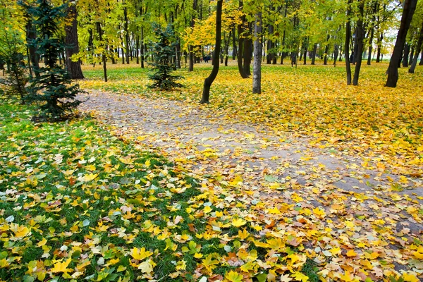 Krásná podzimní krajina — Stock fotografie