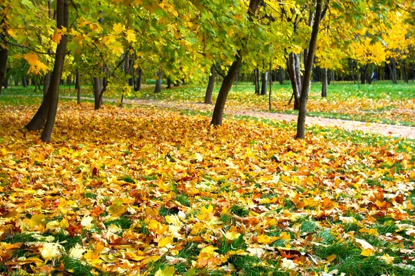 Piękny jesienny krajobraz — Zdjęcie stockowe