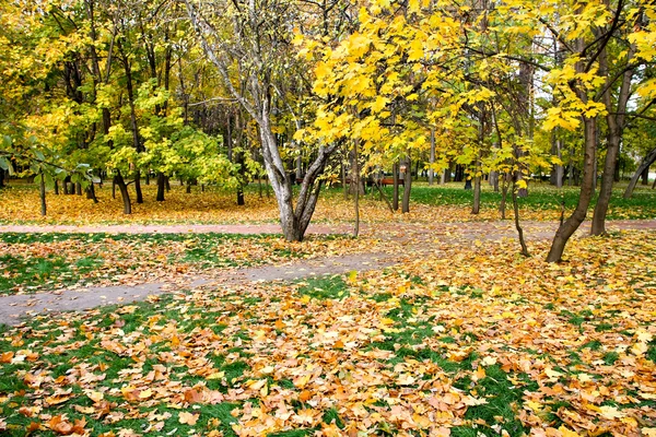 Schöne Herbstlandschaft — Stockfoto