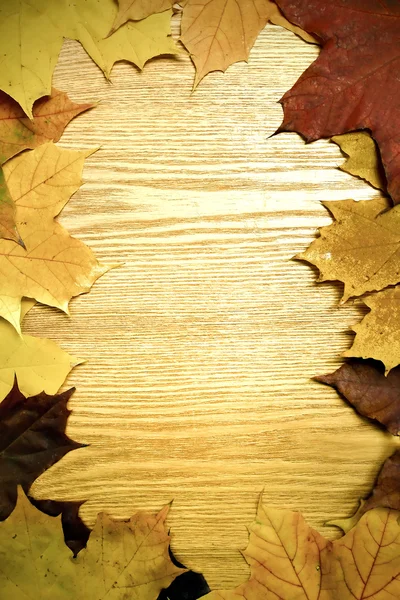 Image of wooben board with autumnal leaves — Stock Photo, Image