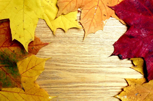 Mooi bruin bord met herfst bladeren — Stockfoto
