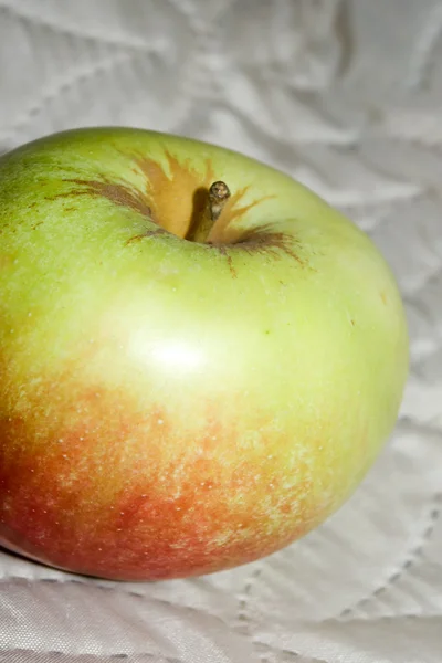 Taze parlak yeşil elma — Stok fotoğraf