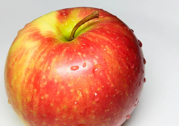 Rött saftigt äpple — Stockfoto