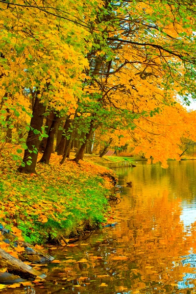 美丽的秋天公园 — 图库照片