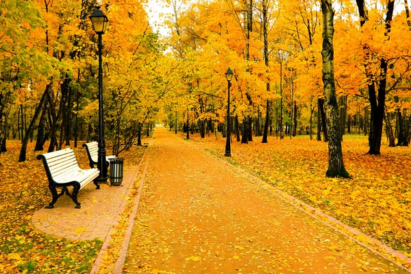 Όμορφο πάρκο φθινόπωρο — Φωτογραφία Αρχείου