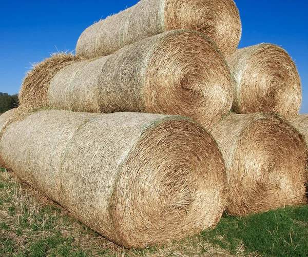 stock image Haystack on the meadow