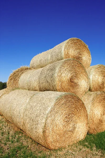 stock image Haystack on the meadow